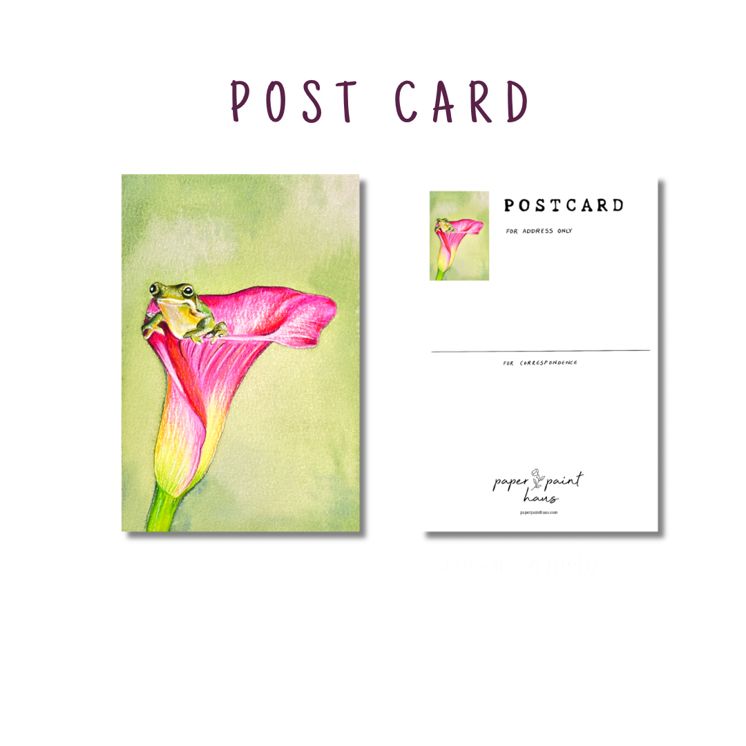 Little Frog Mail — Watercolour Postcards